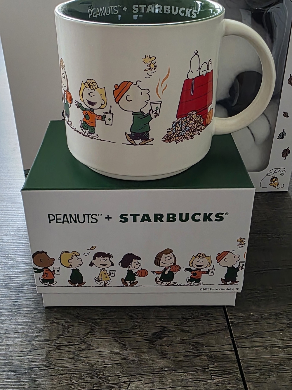 Starbucks x Peanuts White Ceramic Mug - Green Interior
